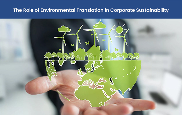 The Role of Environmental Translation in Corporate Sustainability
