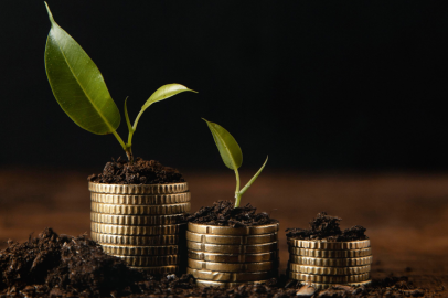 finance-banner-scaled